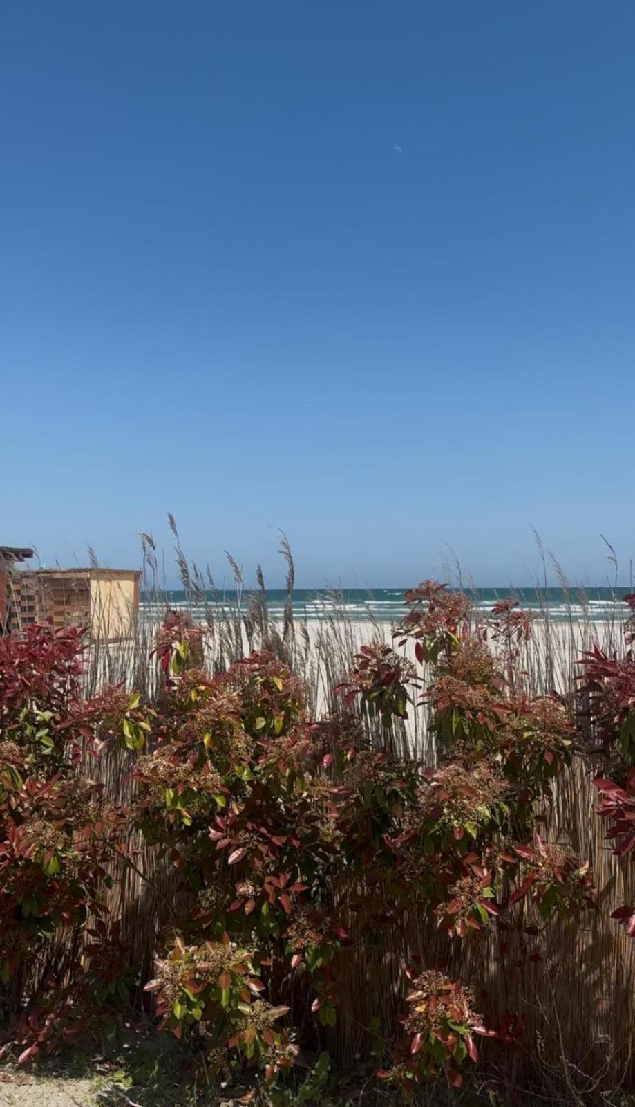 Sea View Luxury Apartament Năvodari Kültér fotó